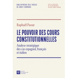 Livre : Le pouvoir des cours constitutionnelles - Raphaël Pour