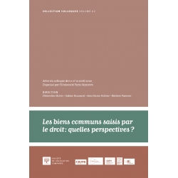 Livre : Les biens communs saisis par le droit : quelles perspectives ?