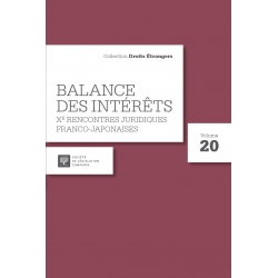 E-Livre : Balance des intérêts, Xe rencontres franco-japonaises