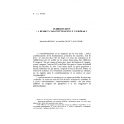 Introduction. La justice constitutionnelle illibérale - PERLO & DUFFY MEUNIER