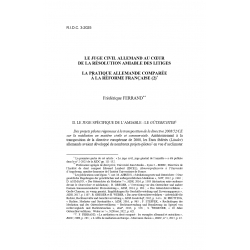 Le juge civil allemand au cœur de la résolution amiable des litiges - FERRAND