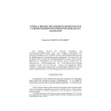 L'impact discret des normes européennes sur la responsabilité des normes morales en Allemagne - SCHMITT-LEONARDY